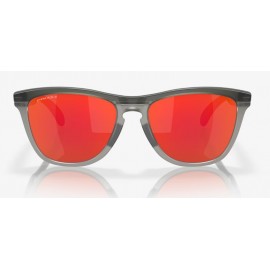 GAFAS OAKLEY FROGSKINS...