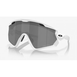 GAFAS OAKLEY WINDJACKET 2.0...