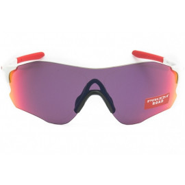 GAFAS OAKLEY EVZERO OO9308-06