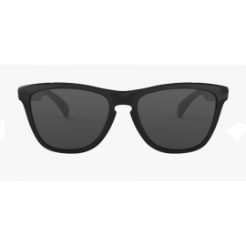 GAFAS OAKLEY FROGSKINS 24-306