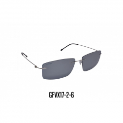 GAFAS VIROX MARCO EN TITANIO POLARIZADAS PLATEADA GFVX17-2-6