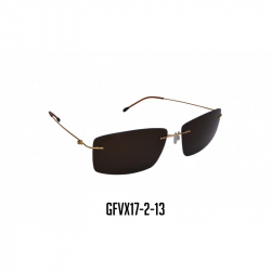 GAFAS VIROX MARCO EN TITANIO POLARIZADAS CAFE GFVX17-2-13