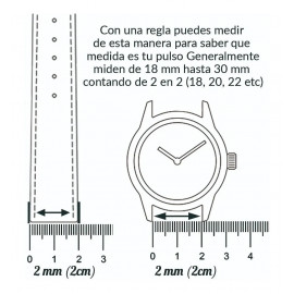 PULSO EN ACERO...